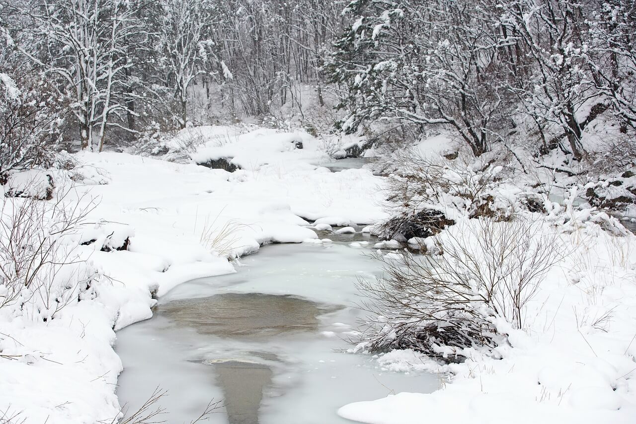 가평 청평 북한강 대성리 송어축제