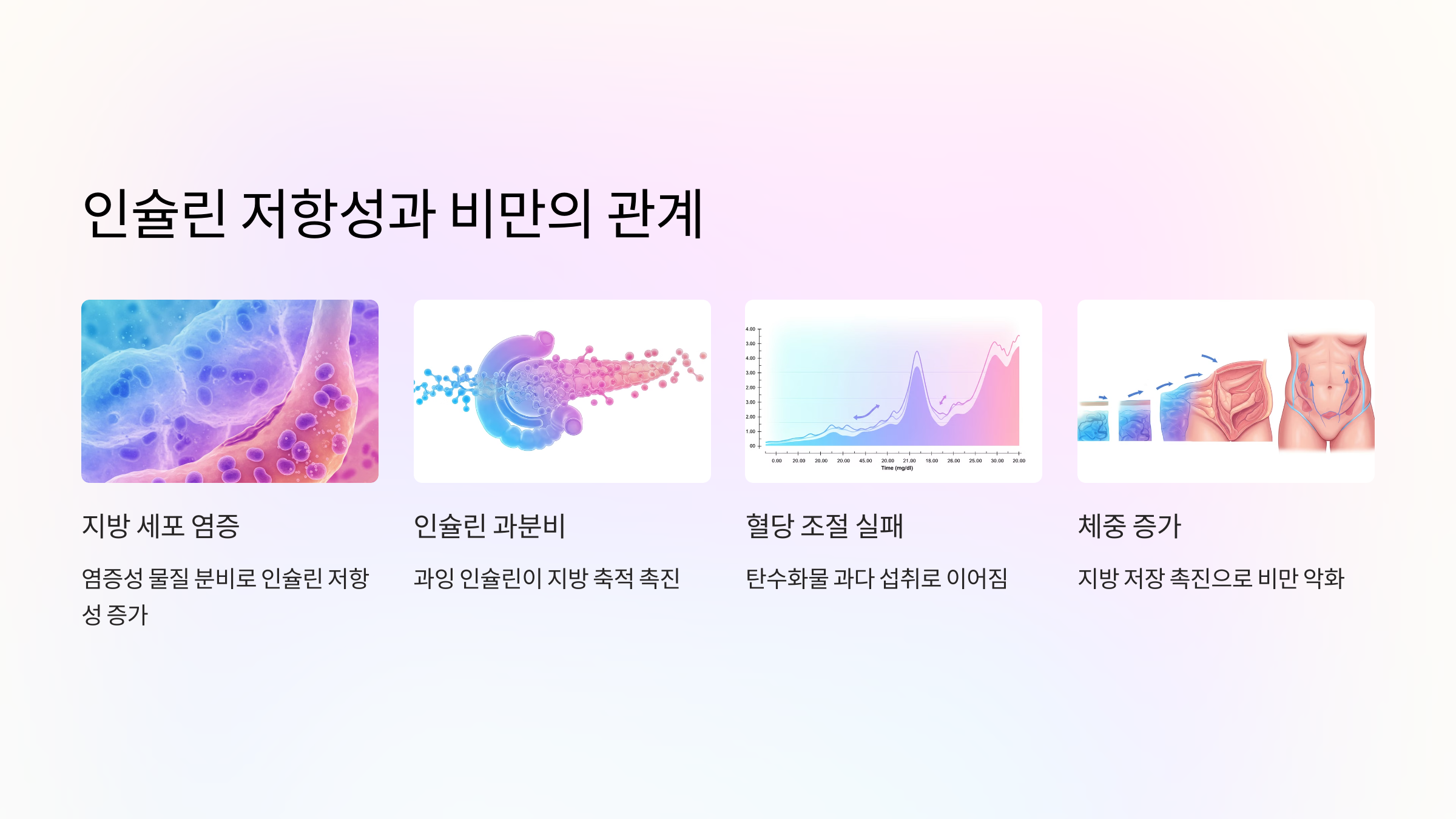 인슐린 저항성과 비만의 관계