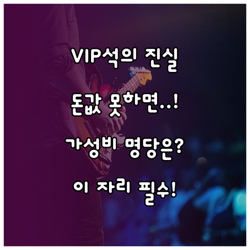 돈값 하는 콘서트 관람 좌석 VIP석..