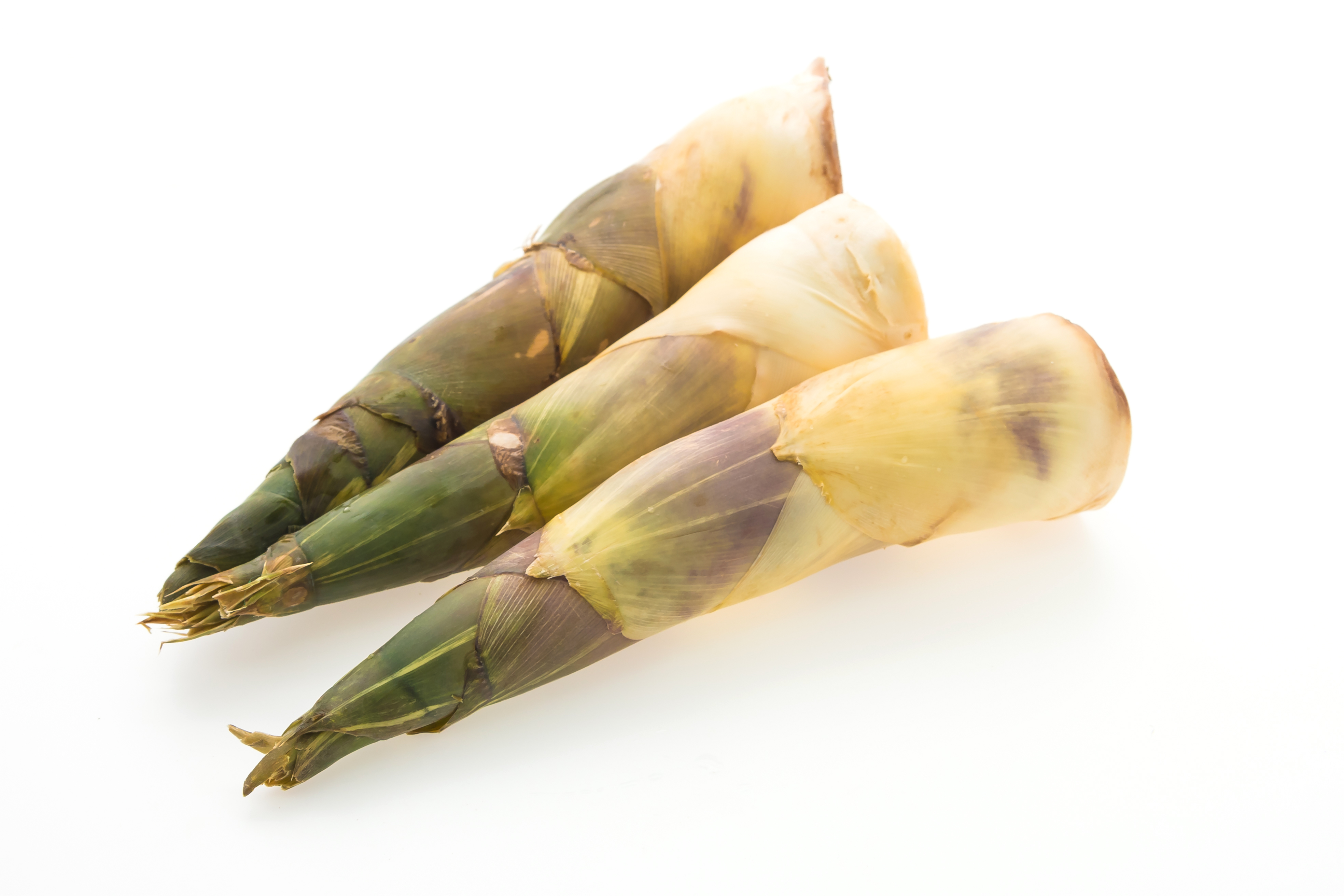 야생에서 채취를 한 대나무 순인 죽순을 잘 세척을 하여 하얀 바닥에 3개를 가지런하게 놓아 둔 사진