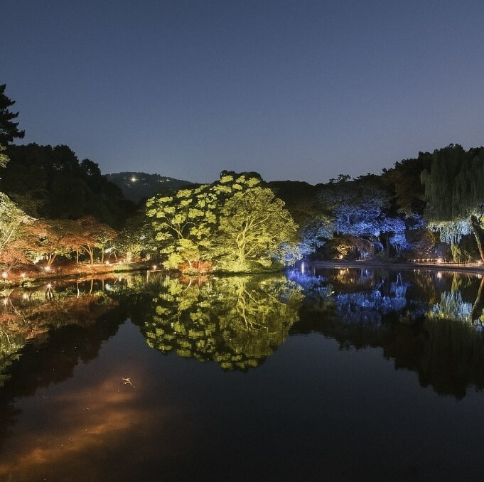 궁중문화축전 창경궁 행사관련 이미지