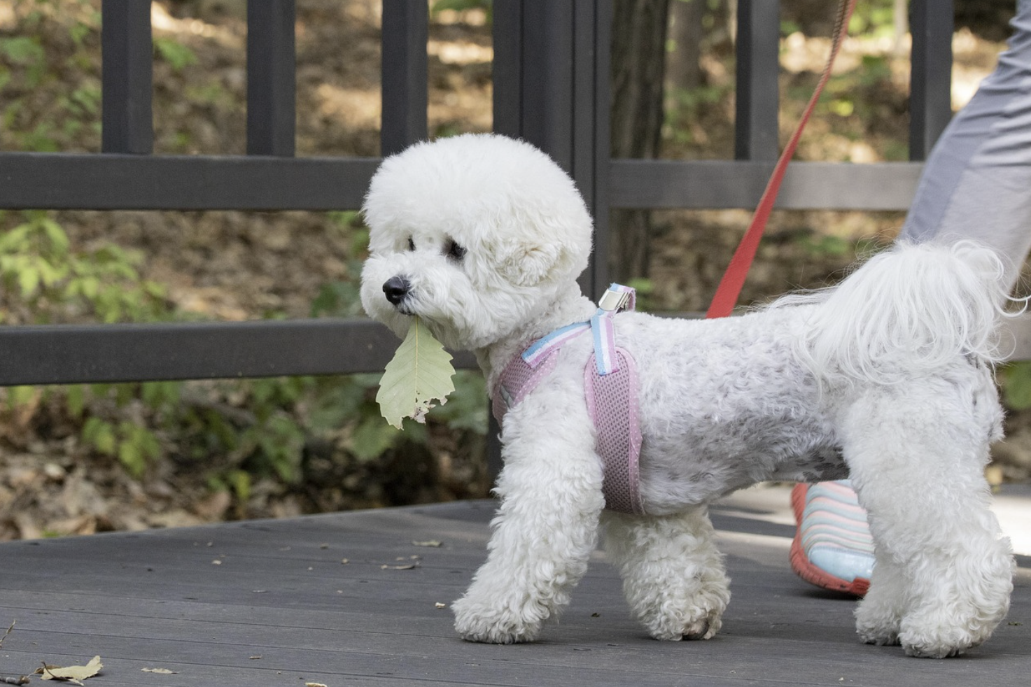 이커머스 현대 전자상거래의 모든 것