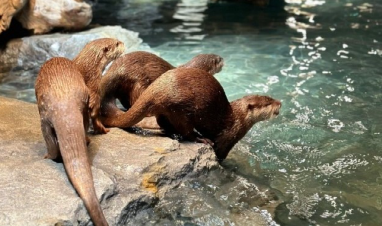 가평 신비동물원