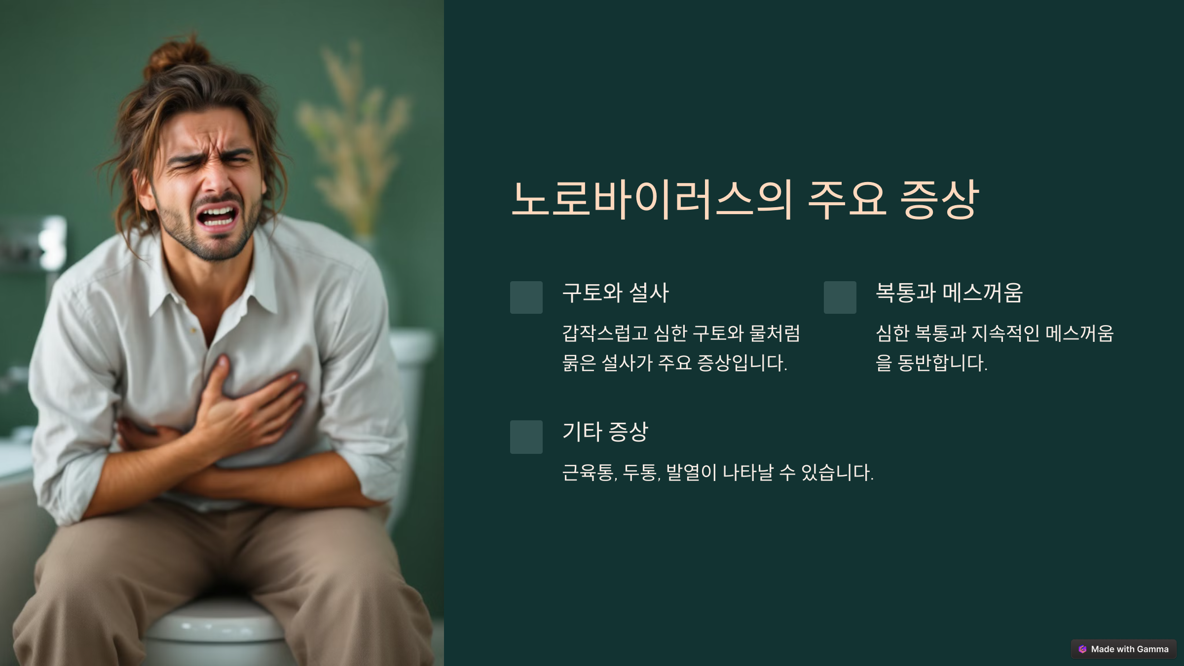 노로바이러스 증상