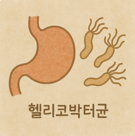 위암 초기증상 및 예방법 총정리
