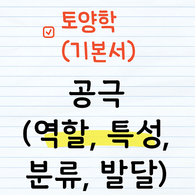 공극의 역할, 공극의 특성, 공극의 분류, 공극의 발달