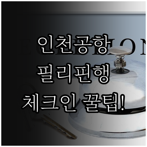 인천공항 필리핀항공 터미널과 체크인 ..