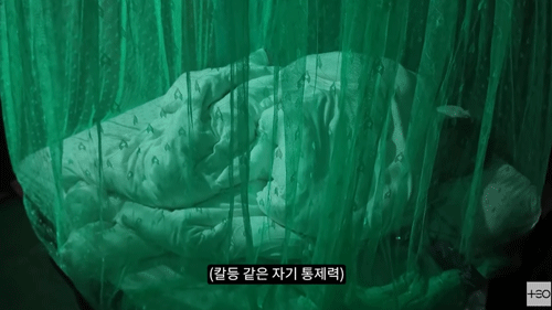 정글타워 체험3