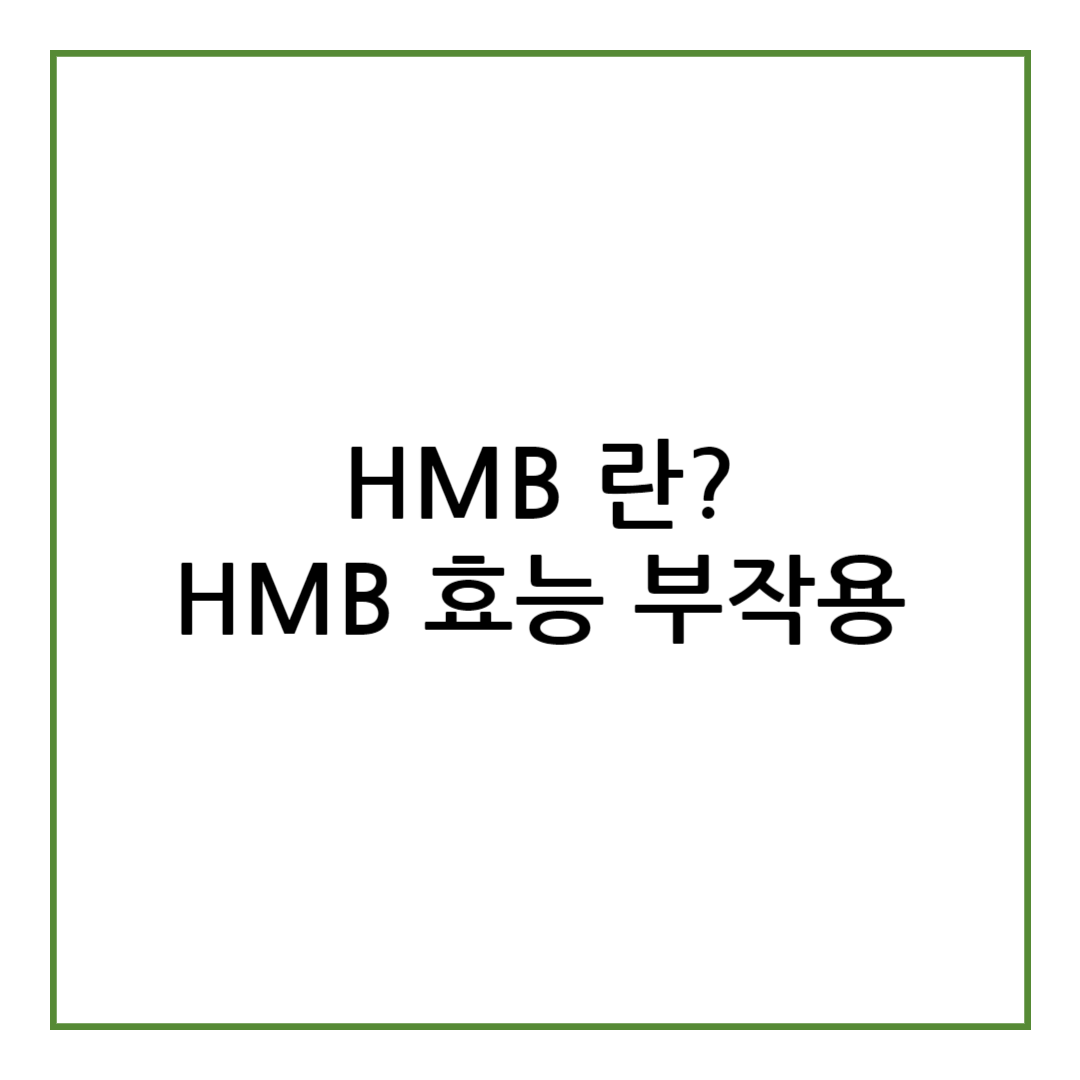 HMB 효능