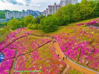군포 가볼만한곳 베스트10 현지인 추천 필수코스_4