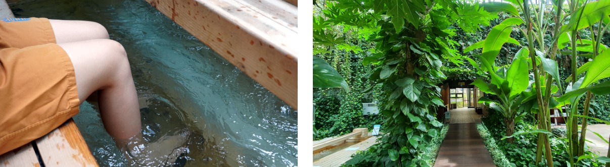 미리내 힐빙 클럽(1)