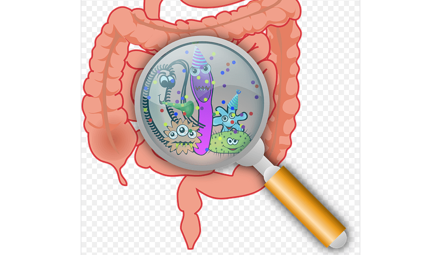 방귀 냄새가 심한 이유로 위장이 안좋은 사진