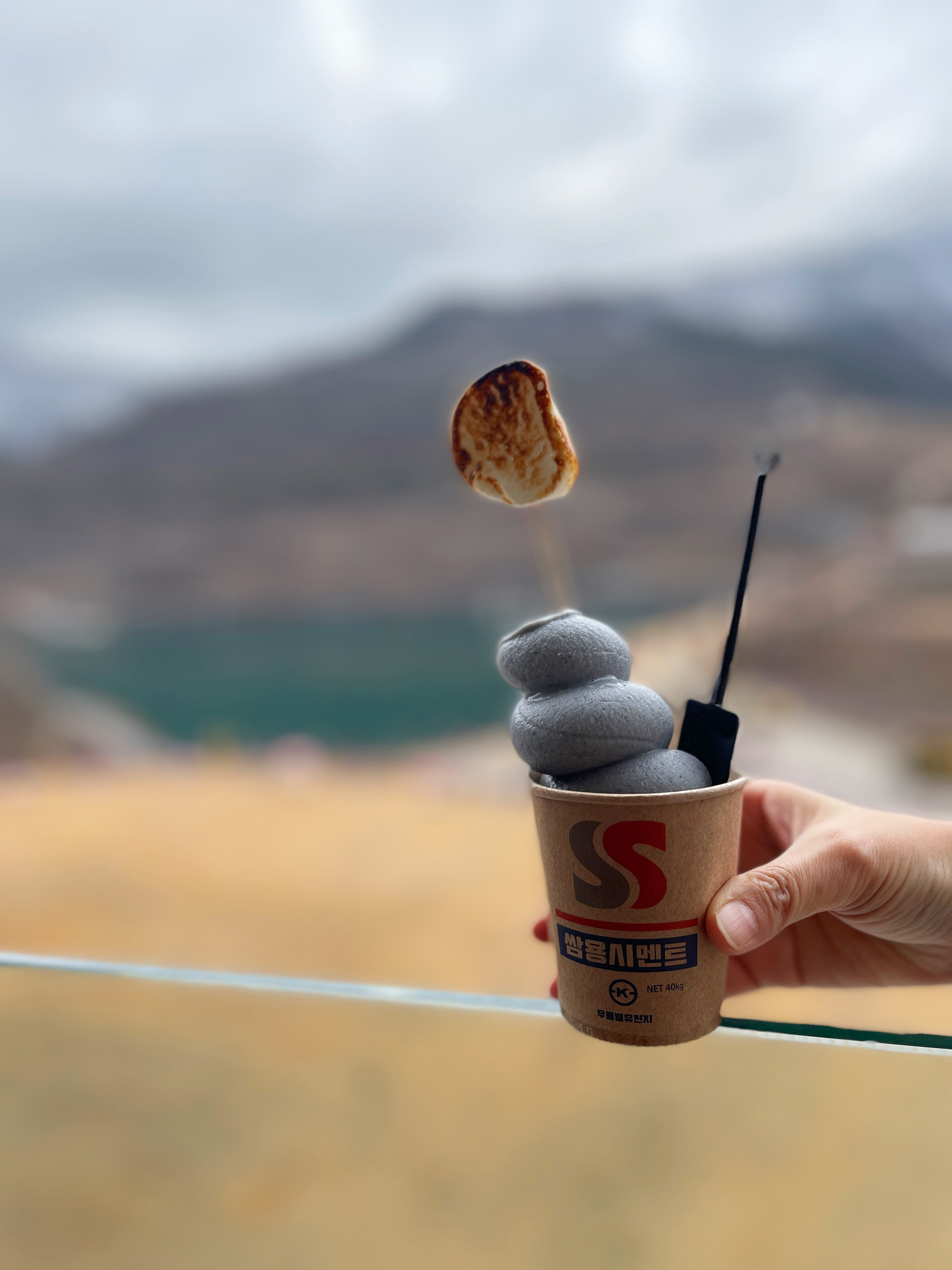 무릉별유천지 시멘트 아이스크림