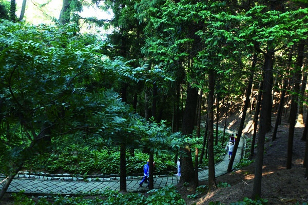 거제 저도 가는 방법