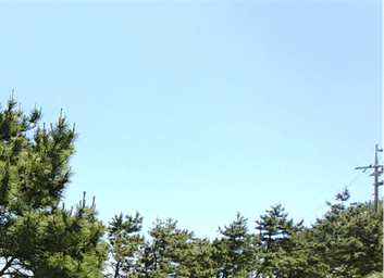 홀로떠나는제주자유여행_송악산둘레길