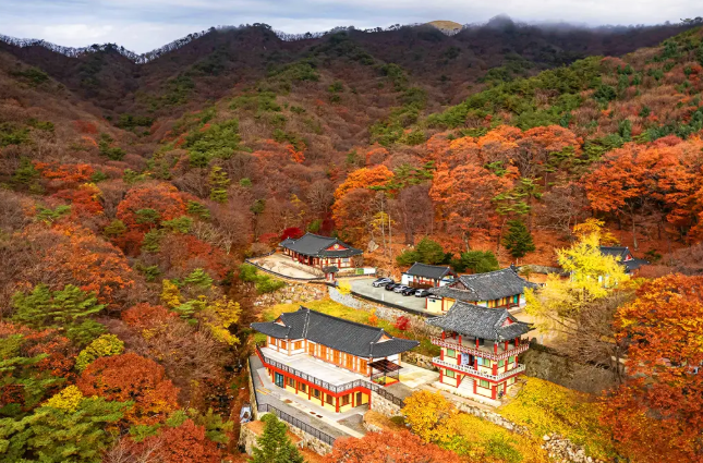 팔공산가을이미지