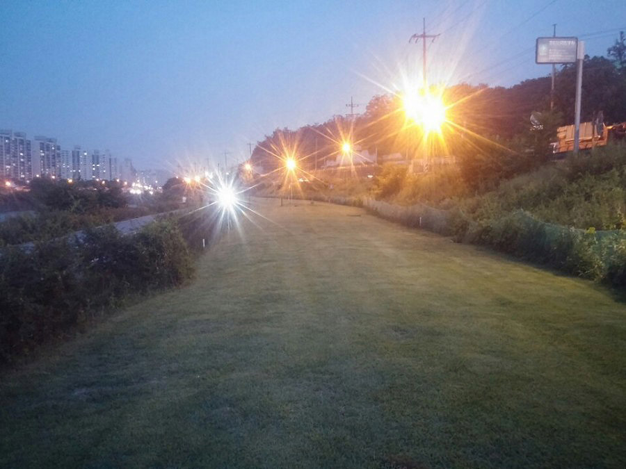 서울 노원파크골프장 (노원구 중랑천파크골프장) 소개