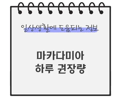 마카다미아-하루-권장량