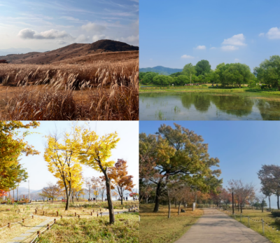 다산생태공원