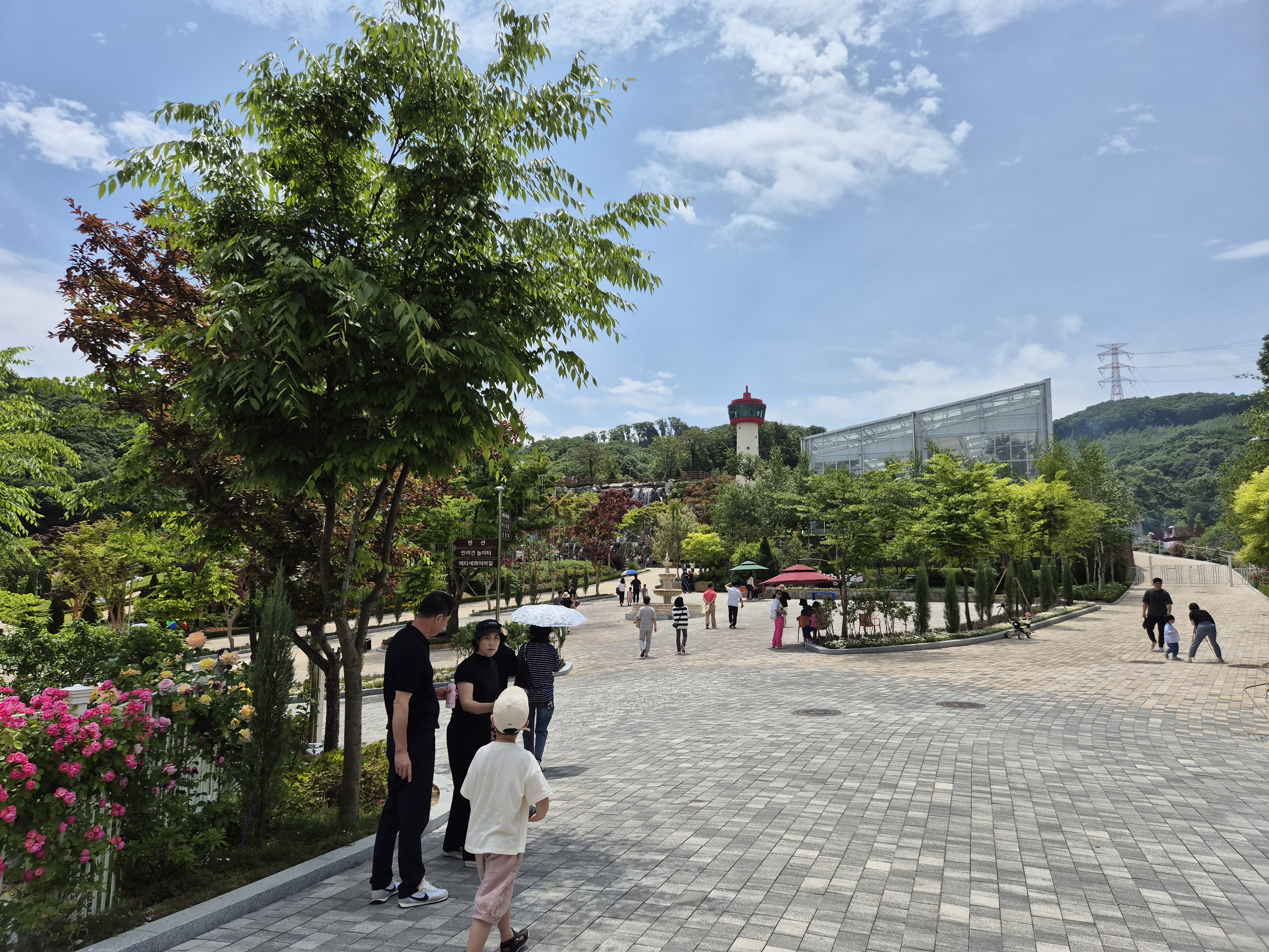 용인 자작나무 숲 베툴라 까사포레