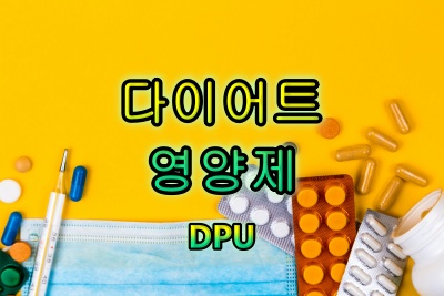 다이어트-영양제