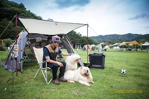 서울 마포 반려동물 캠핑장 도심 속 힐링 명소 가이드_7