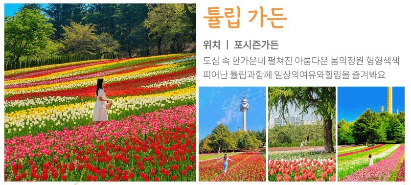 2025 대구 이월드 &amp;#39;튤립 트래블&amp;#39; 축제! : 네덜란드 감성 그대로 즐기는 봄 꽃 축제!