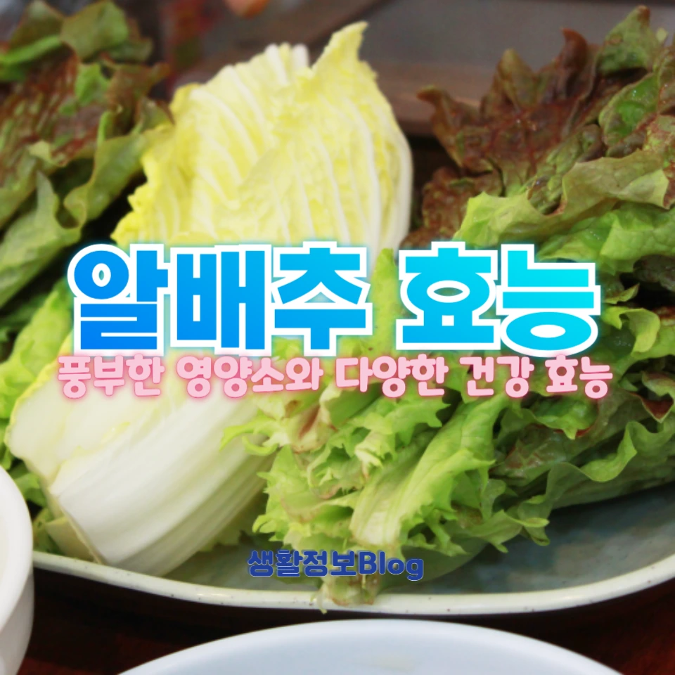 알배추의 놀라운 효능