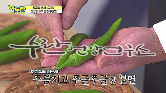고추씨 활용법