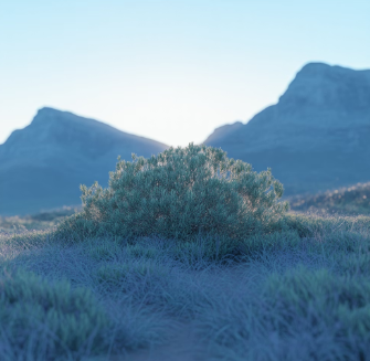 루이보스차의 효능