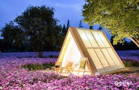 순천만국가정원 입장료 할인방법