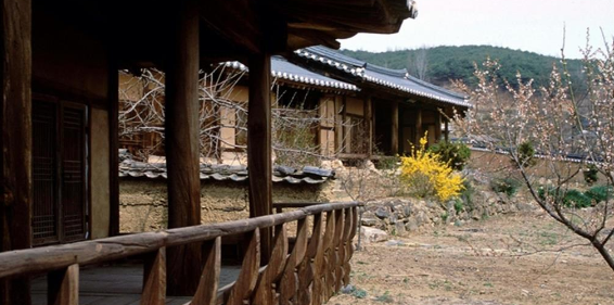 전통과 자연이 어우러진 화회마을 소개