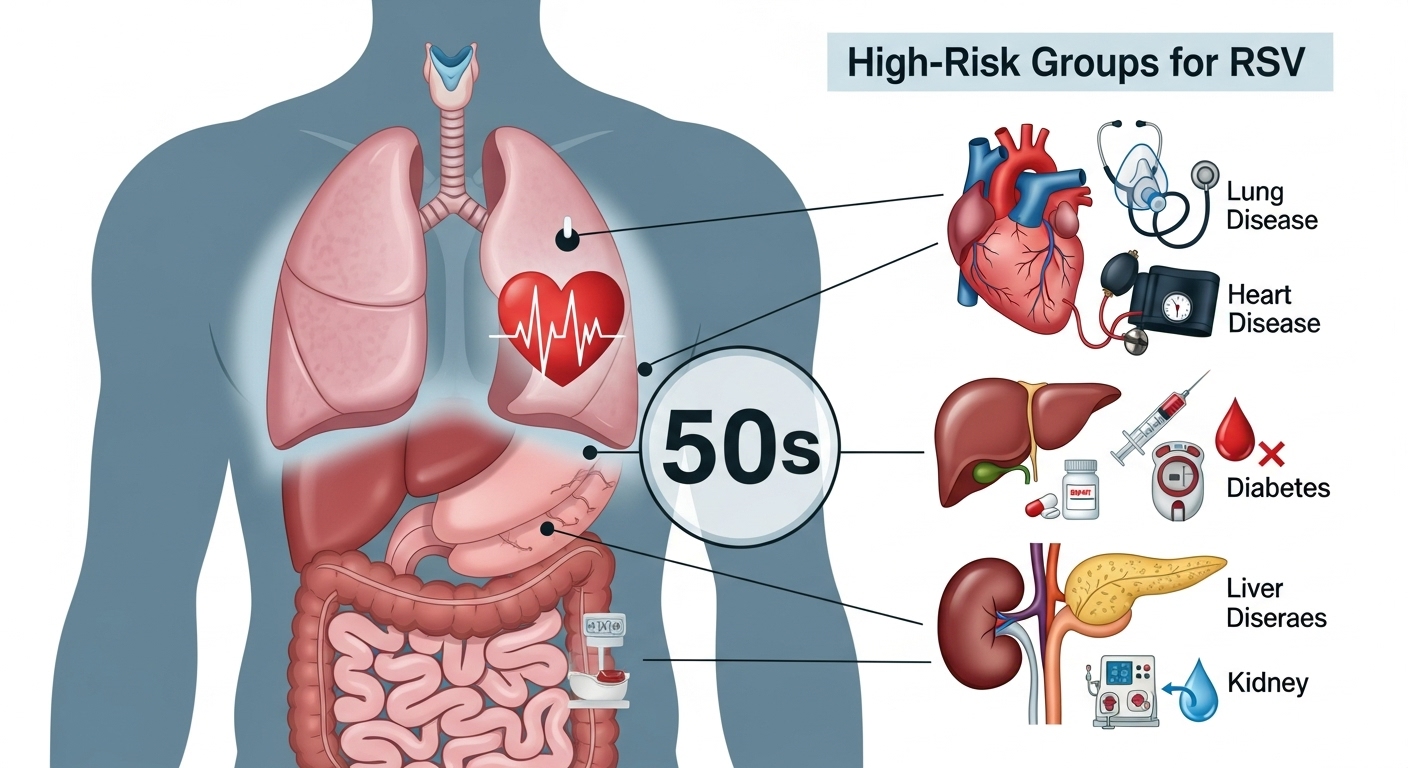 만성 폐 질환, 심장 질환, 당뇨병 등 RSV 고위험군을 나타내는 인체 장기 이미지와 의료 아이콘.