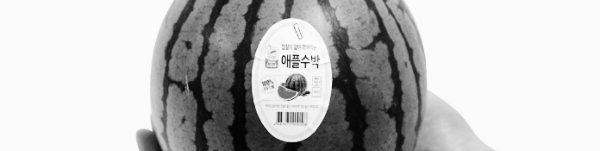 수박껍질 음식물쓰레기: 지자체 규정 확인 필요