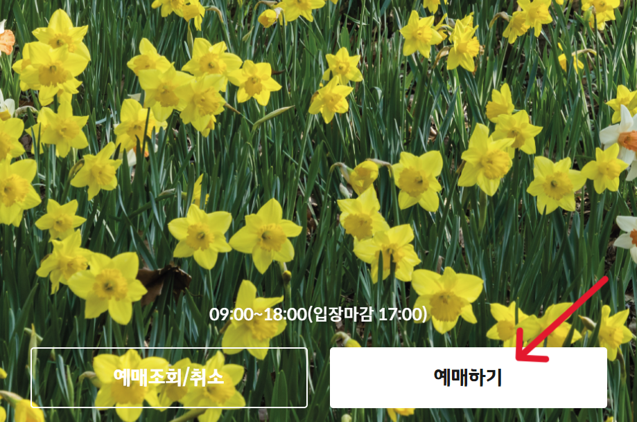 화담숲 예약하기