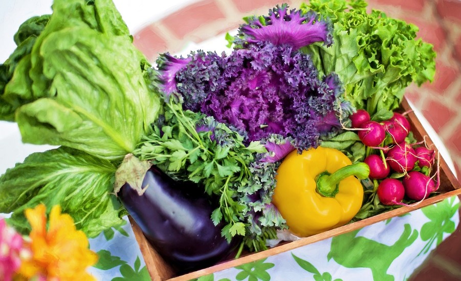 암 예방에 좋은 최신 식단