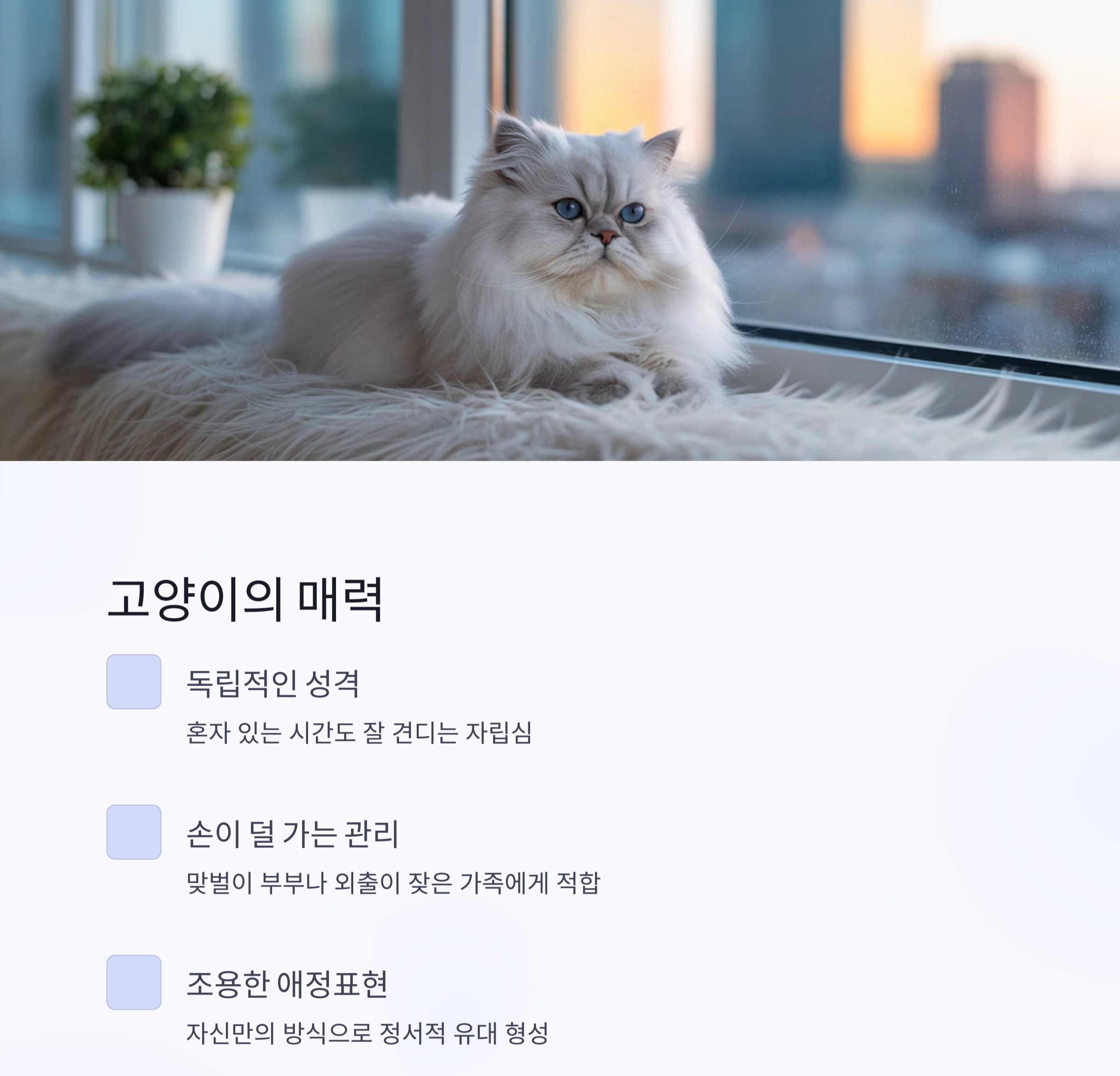 강아지와 고양이, 가족 맞이에 더 좋은 반려동물은 누구일까?
