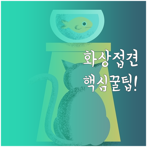 구치소 비대면 화상접견 신청 및 지인..