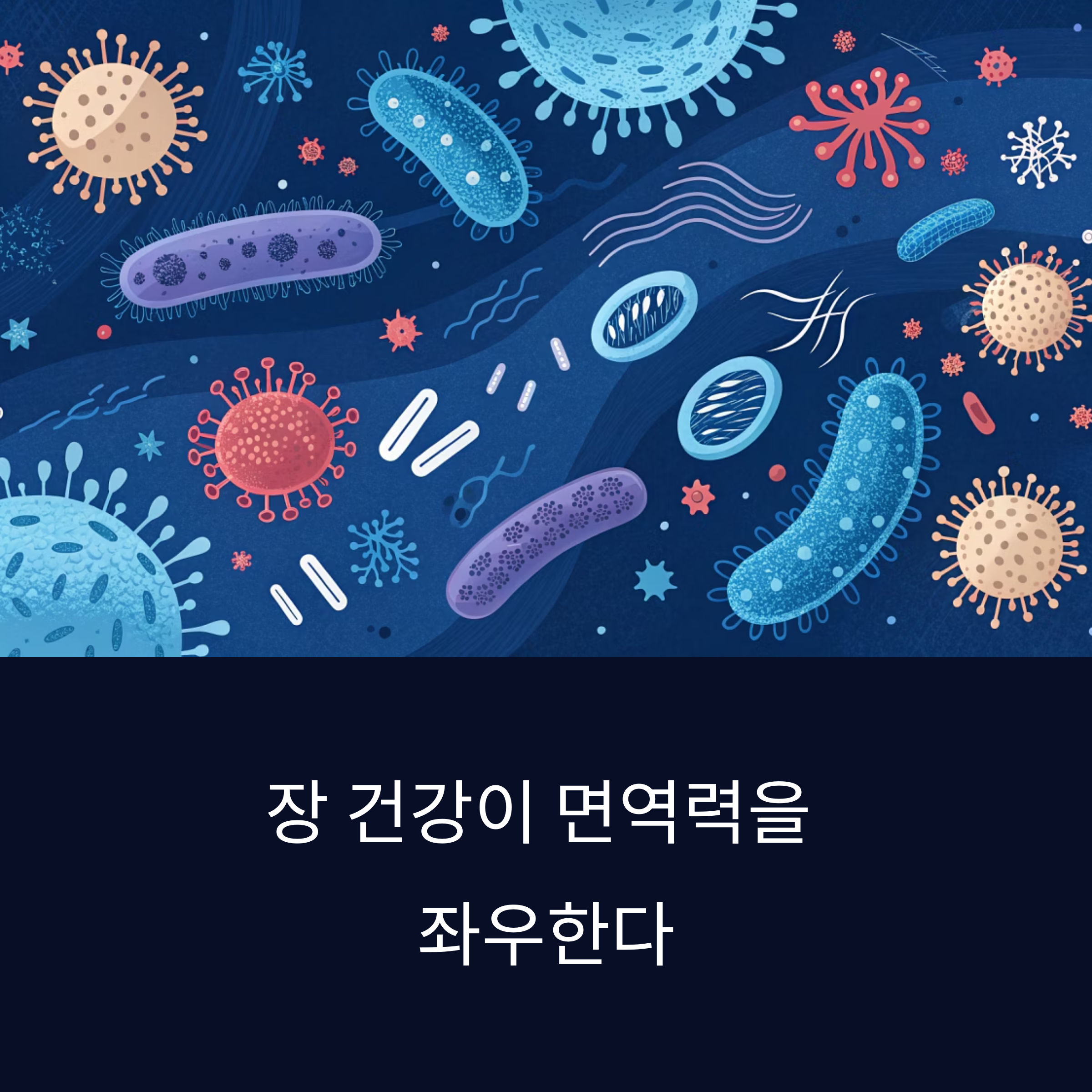 장 건강 식단이 면역력을 강화하는 놀라운 비밀