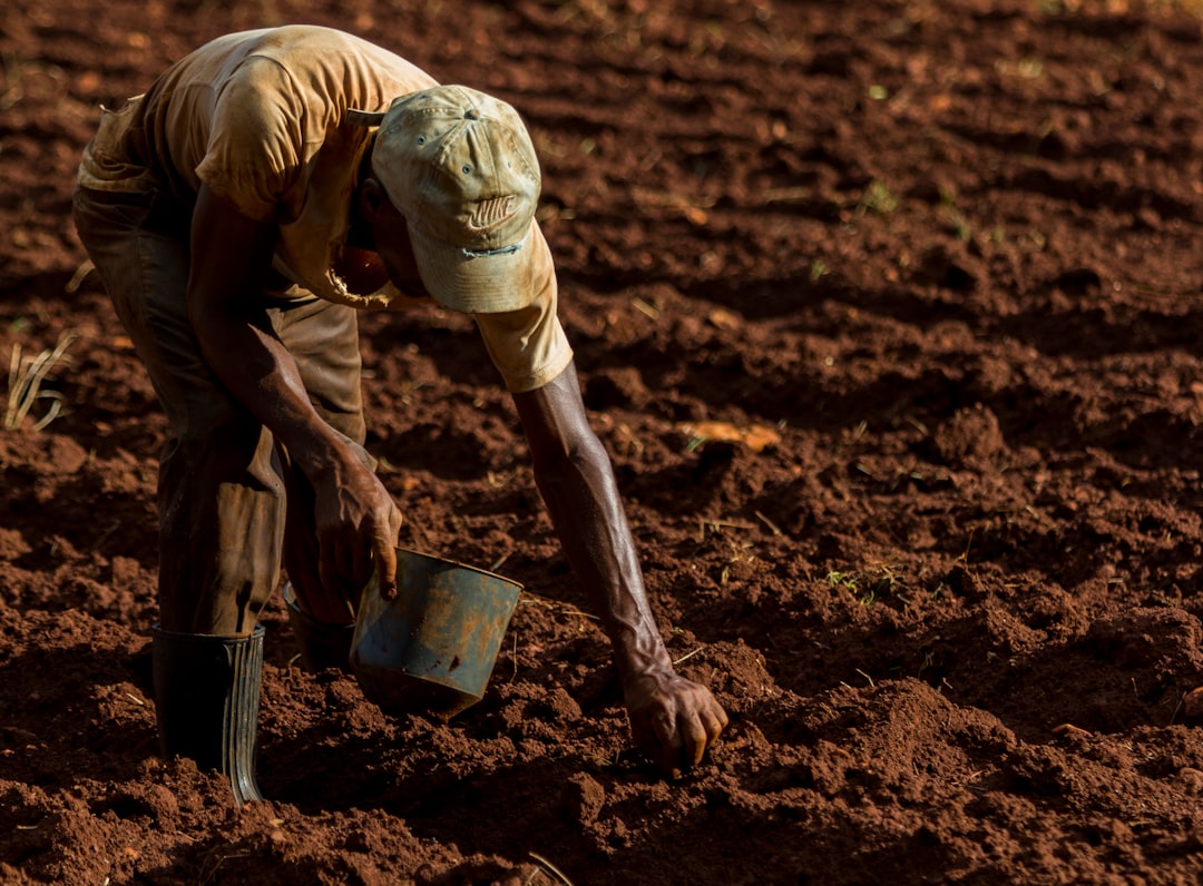 Planting