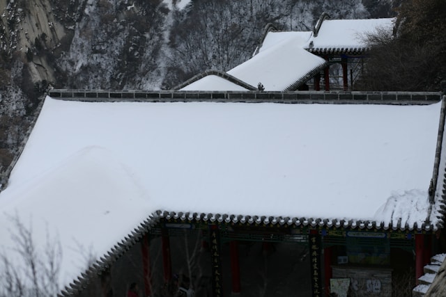 대설특보 버스 운행 중단 노선 실시간 조회 총정리