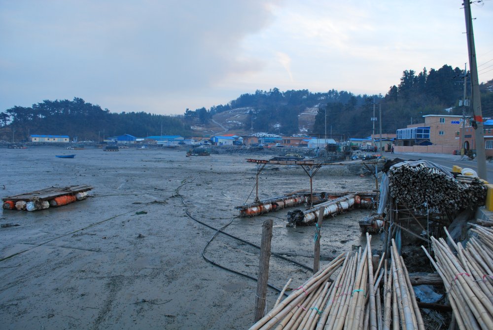 장흥군 대덕읍 옹암마을