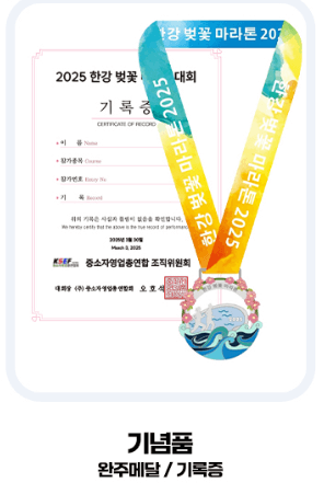 한강 벚꽃 마라톤