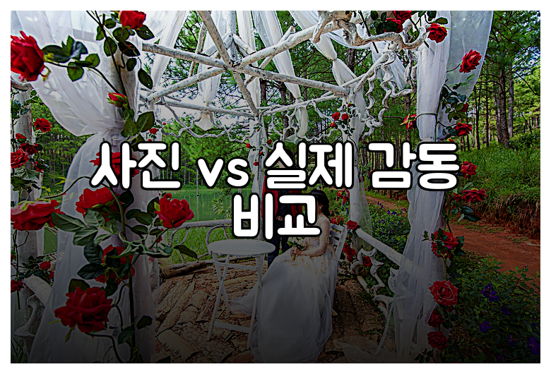 사진 vs 실제 감동 비교