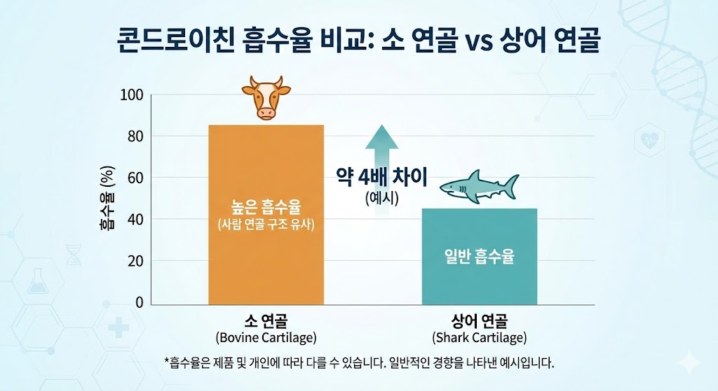 콘드로이친 효능