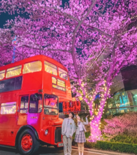 3월 국내 여행지 추천