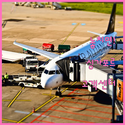 싱가포르항공 한국 고객센터 연락처 및..