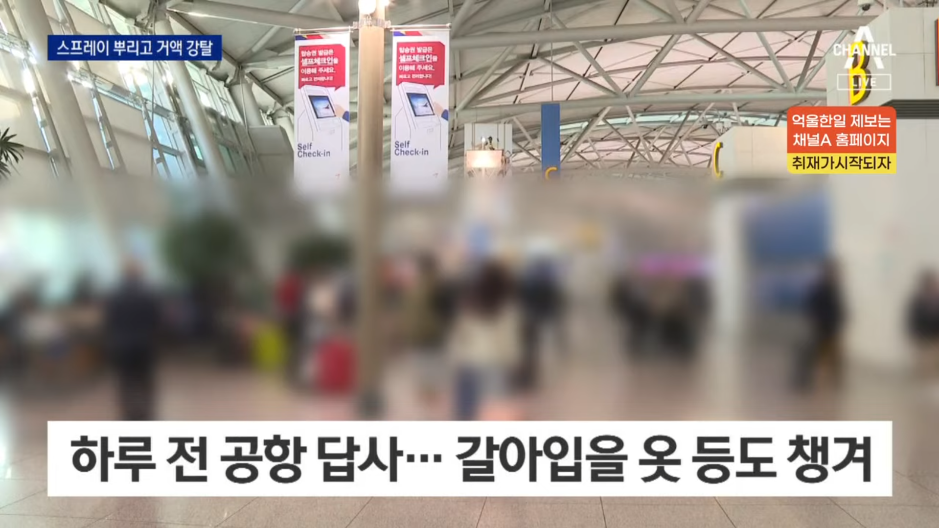 하루 전 공항 답사와 가발, 여벌 옷까지 챙겨