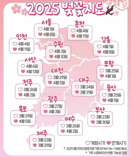 2025년 지역별 벚꽃 개화, 만개 예상 시기 지도 표 이미지