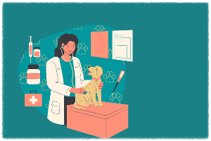 추석 연휴 24시동물병원 실시간정보 가까운위치